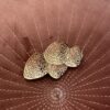 BROCHE DORADO FOUR